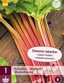 Rhubarb Rhabarbarum