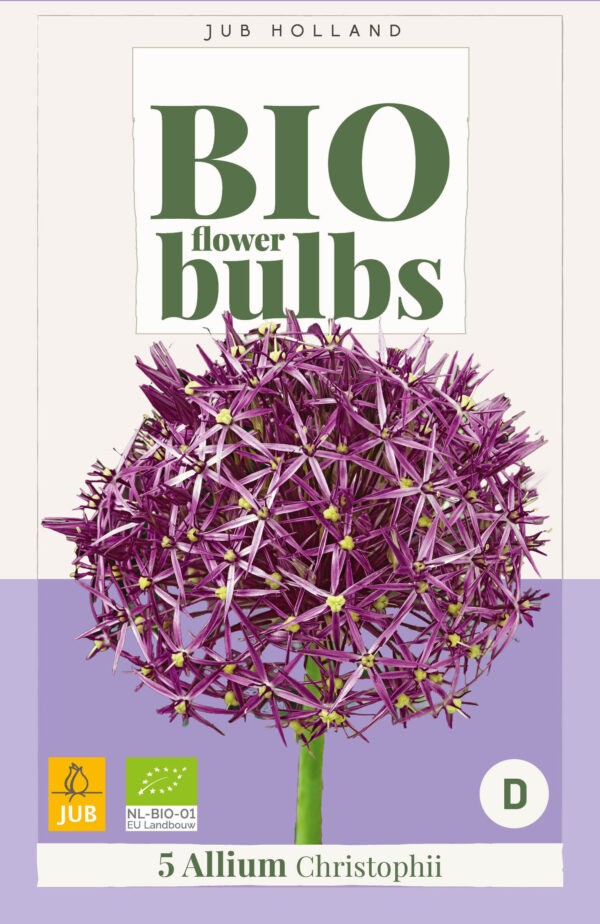 5 Bio Allium christophii 10/12