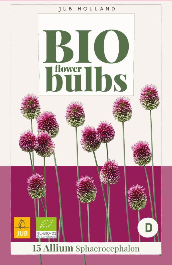 15 Bio Allium sphaerocephalon 5/6