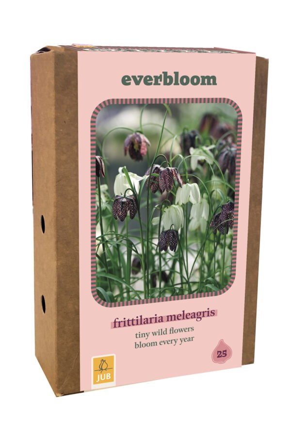 Everbloom - 25 Fritillaria meleagris Mix