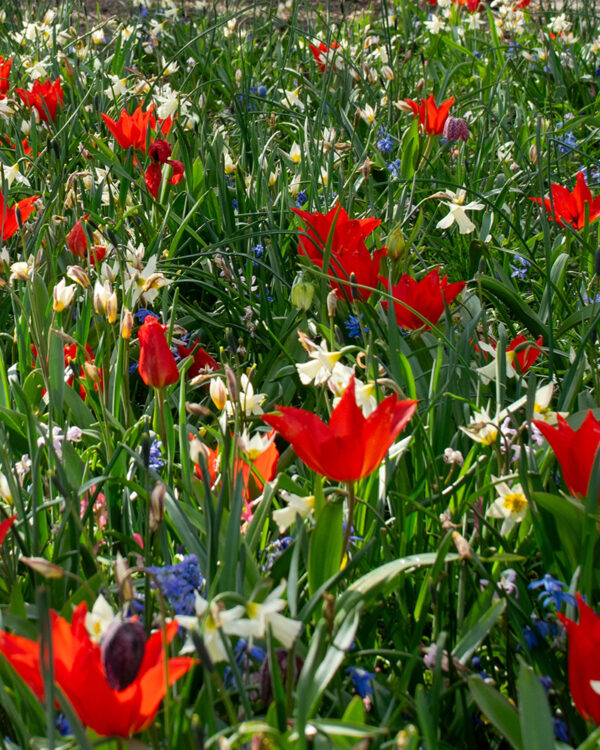 Mixture Oegstgeest