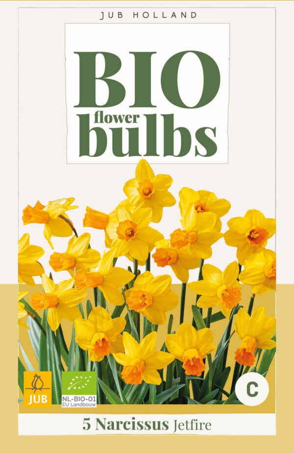 5 Bio Narcissus Jetfire 10/12