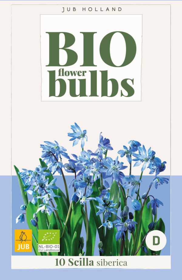 10 Bio Scilla siberica 6/7