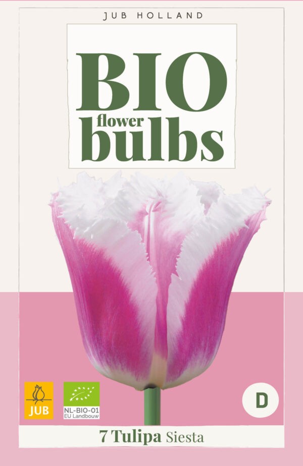 7 Bio Tulip Siesta 11/+