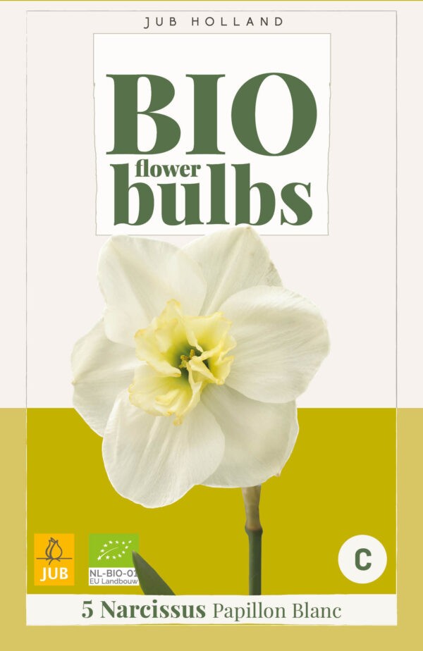 5 Narcissus Bio Papillon Blanc 10/12