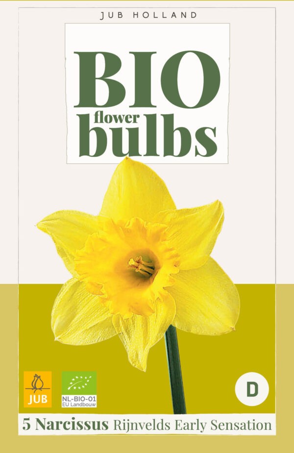 5 Narcissus Bio Rijnveld's Early Sensation 10/12