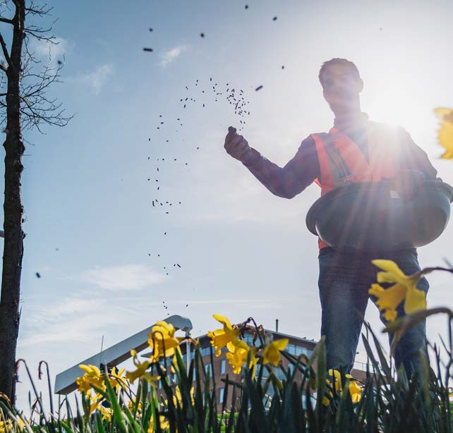 Man spreading fertilizer
