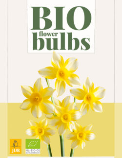 Organic Narcissus New Baby Prepack