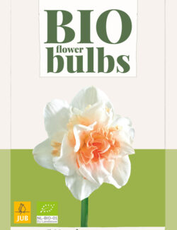 Organic Narcissus Replete Prepack