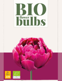Organic Bio Tulip Alison Bradley Prepack