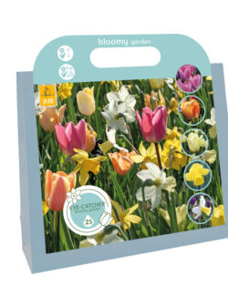 Gift Bag - Bloomy Garden 25 Bulbs