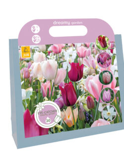 Dreamy Garden Gift Bag - 20 Bulbs