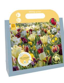 Shiny Garden Gift Bag - 25 Bulbs