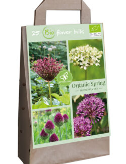 Organic Spring Butterfly Mix