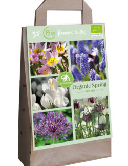 Organic Spring Bee Mix Handled Bag