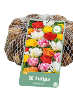 Tulip Double Mix Netlons