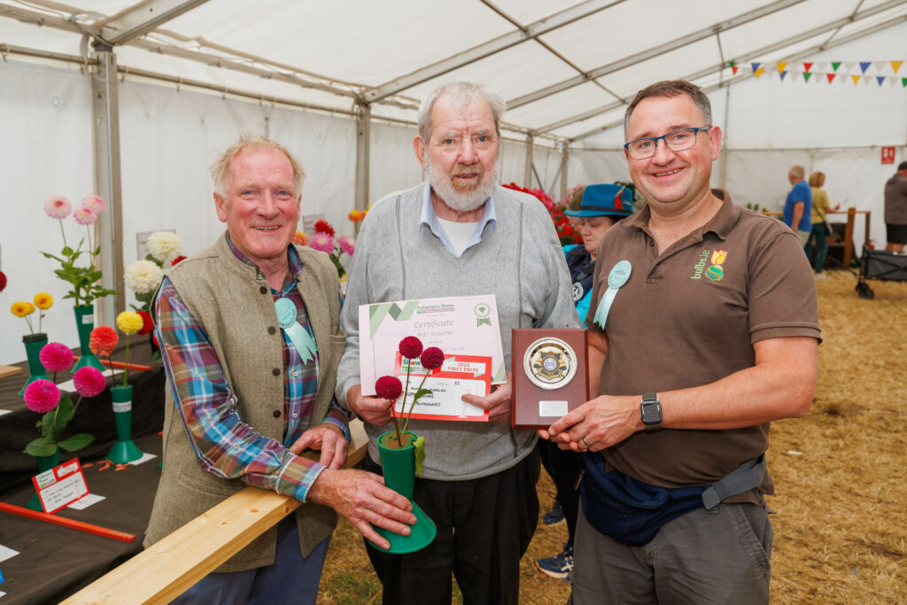 Tullamore Show 2026. Pat Maguire. Best in show Dahlia - Novice Section. Courtesy Jeff Harvey Photography