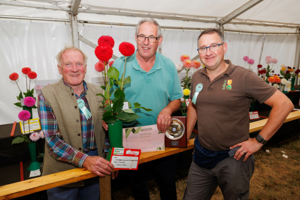 Tullamore Show 2026. Trevor Stephenson. Best in show Dahlia section. Courtesy Jeff Harvey Photography